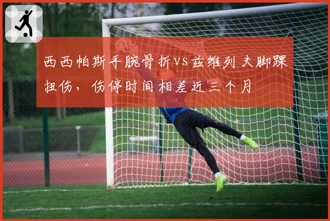 西西帕斯手腕骨折vs兹维列夫脚踝扭伤,伤停时间相差近三个月